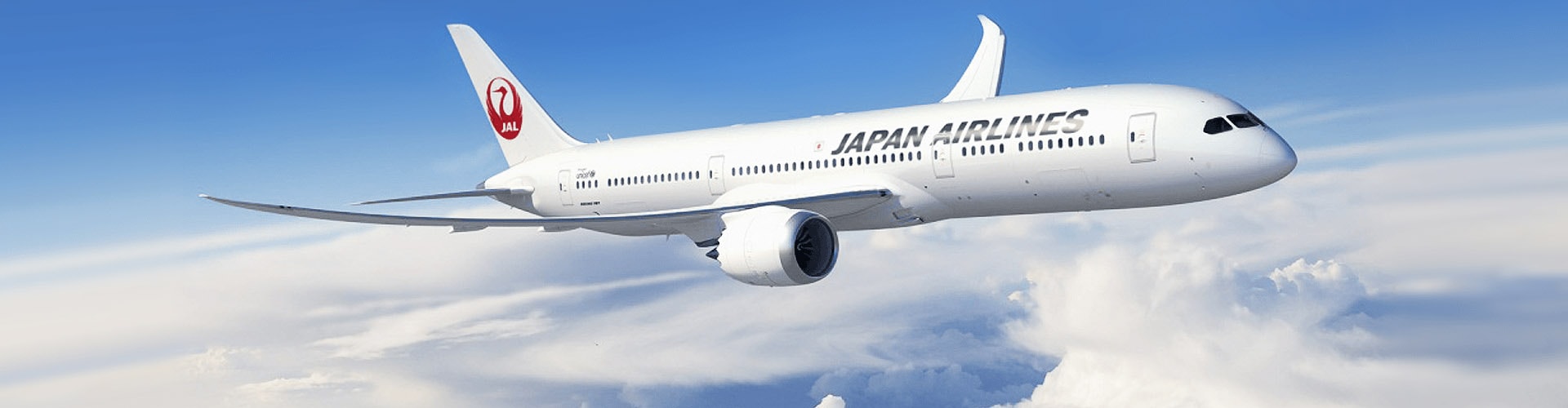 JAL 日本航空画像3