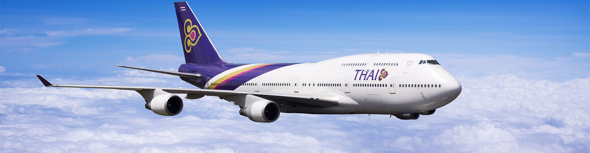 Thai Airways タイ国際航空航空画像1